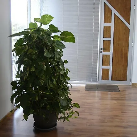 Picafort1 Can Picafort (Mallorca)