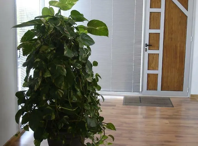 Picafort1 Can Picafort (Mallorca)